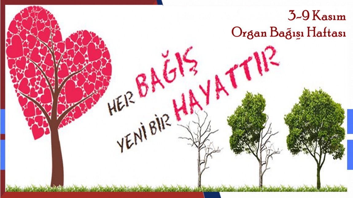 3 - 9 Kasım Organ Bağışı Haftası